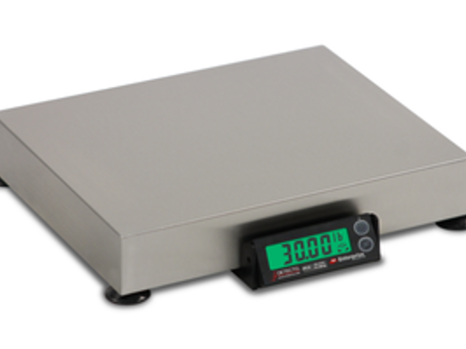 Commercial Scales | Superior Processing & Weighing